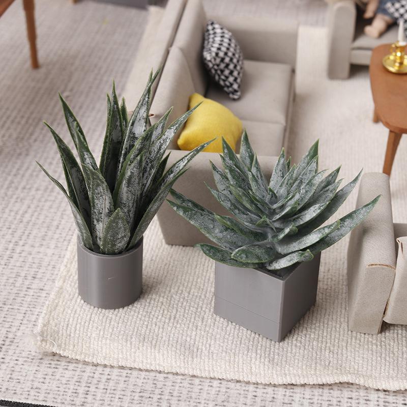 Aloe Vera Pot - Minyatür Aloe Vera Saksı Bitkisi Süsü