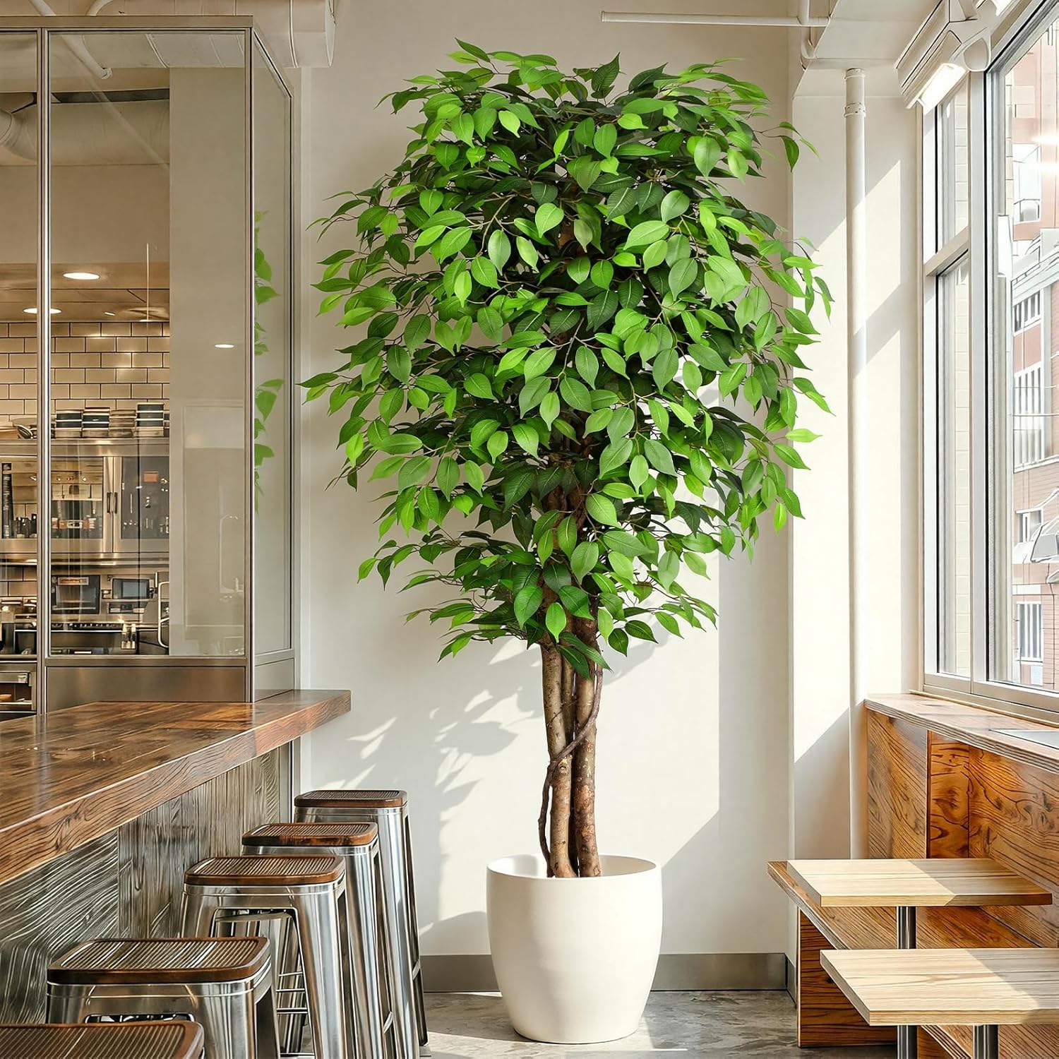 Monstera Adansonii - Gerçekçi Yapay Ficus Ağacı, Doğal Gövde