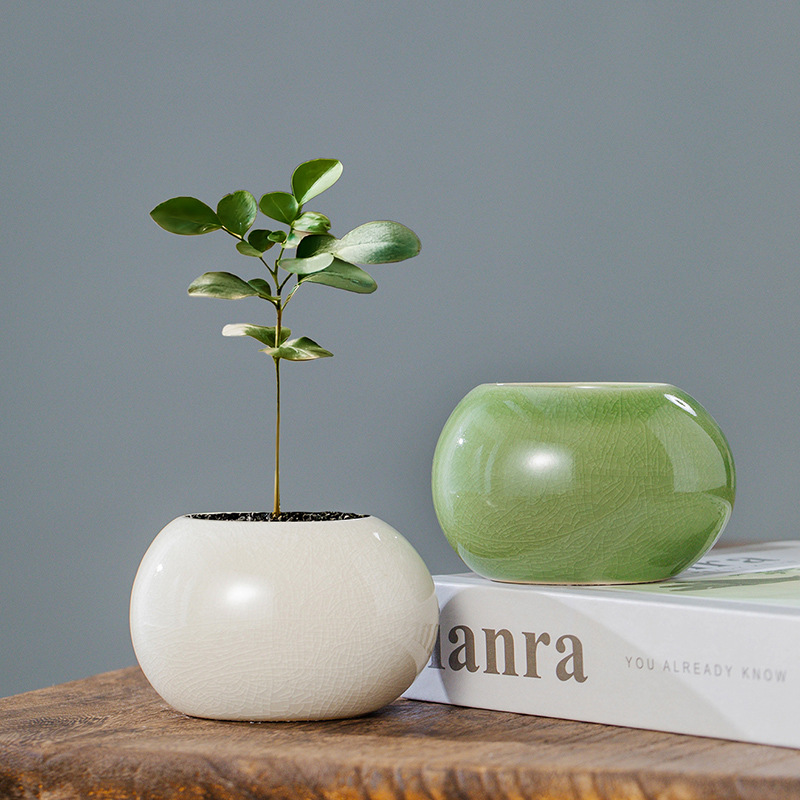 Aloe Vera Pot - Buz Çatlak Desenli Seramik Saksı, Mini