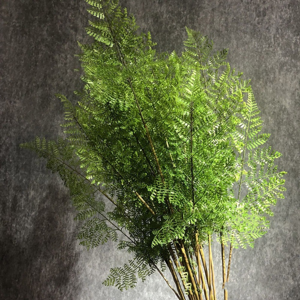 Dracaena Marginata - Gerçekçi Yapay Eğrelti Otu Dalları Gerçek