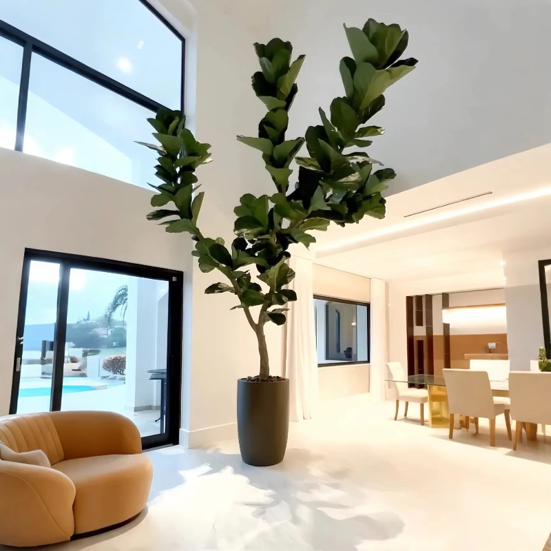 Ficus Lyrata Tree - Yapay Bitkiler İç Mekan Saksı Bitkisi