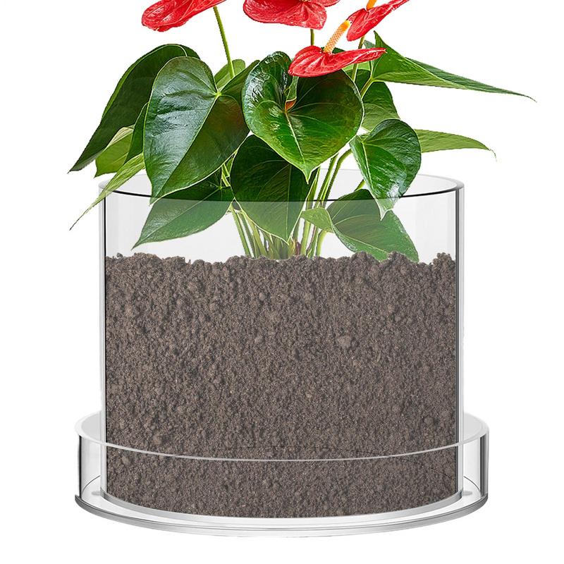 Aloe Vera Pot - Drenajlı Şeffaf Bitki Saksıları Bitkiler İçin