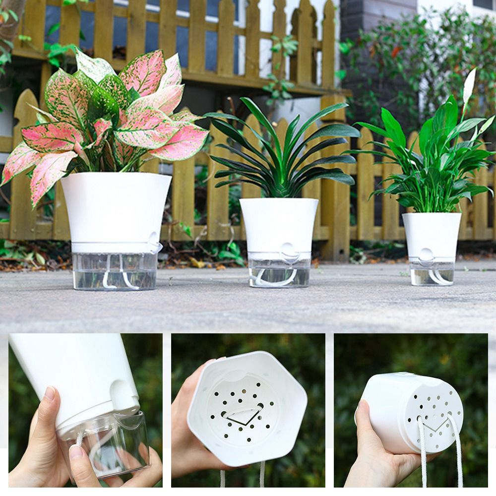 Aloe Vera Pot - Şeffaf çift katmanlı plastik saksı kendini