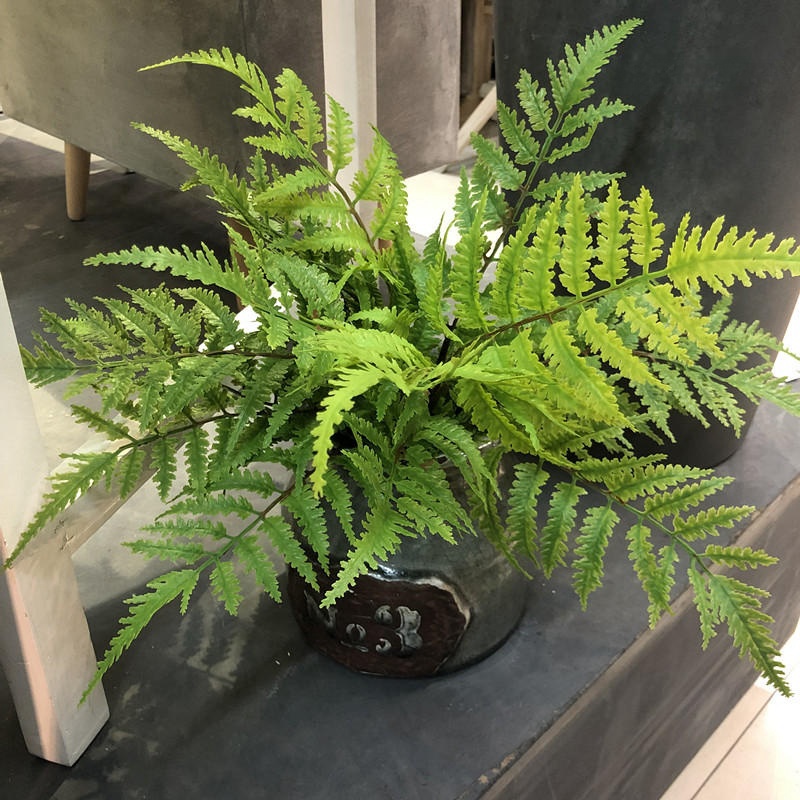 Dracaena Marginata - 1 adet Yapay Bitkiler Yatak Odası