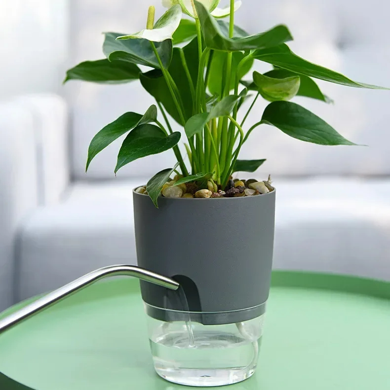 Şeffaf Çift Katmanlı Plastik S - Aloe Vera Pot incelemesi ve fiyatı
