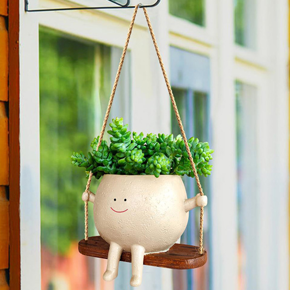 Bitki Askılı Sepetleri Güzel S - Echeveria Succulent incelemesi ve fiyatı