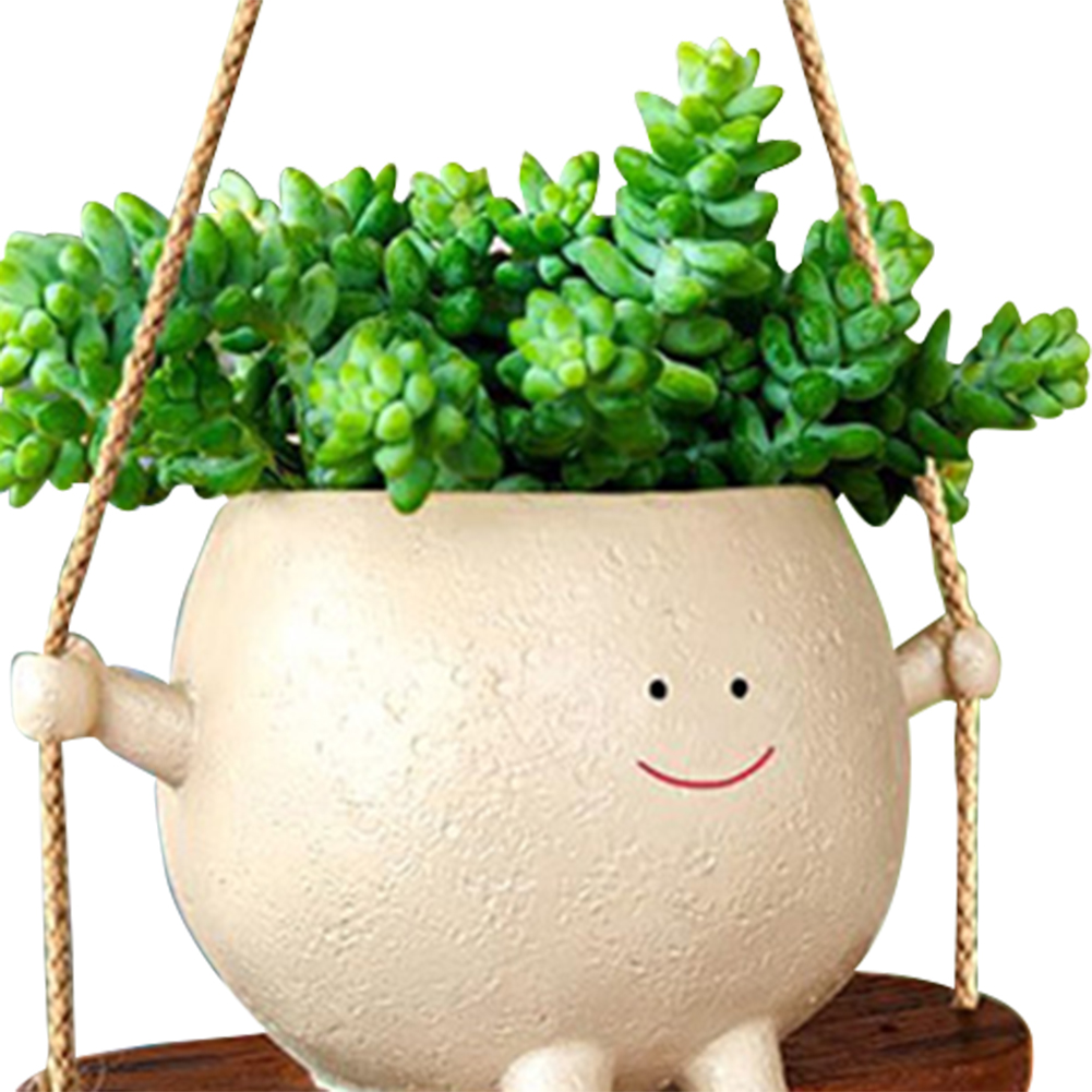 Bitki Askılı Sepetleri Güzel S - Echeveria Succulent incelemesi ve fiyatı