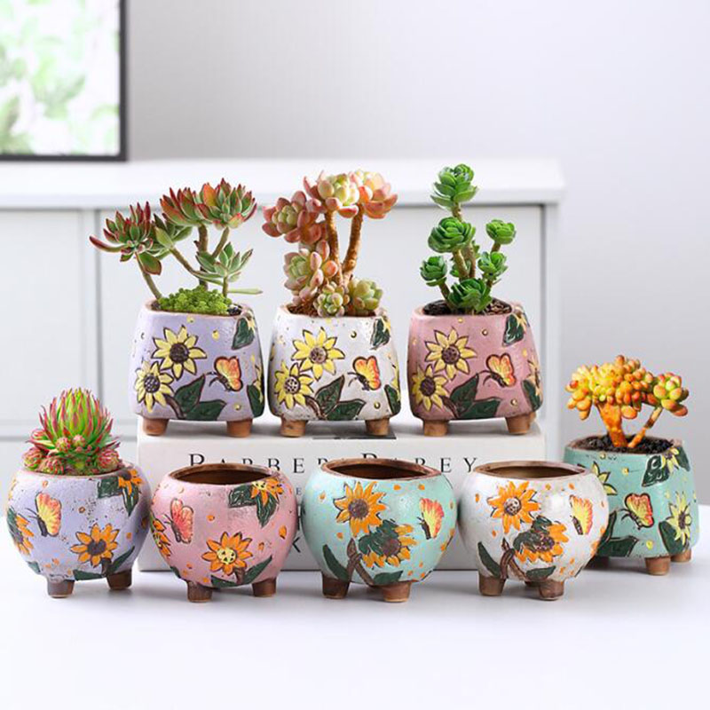 Kore Tarzı Ayçiçeği Desen Etli - Echeveria Succulent incelemesi ve fiyatı