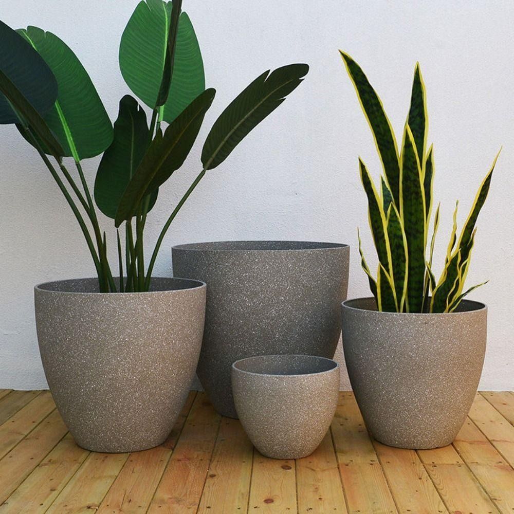 Buzlu İmitasyon Taş Bonsai Sak - Aloe Vera Pot incelemesi ve fiyatı