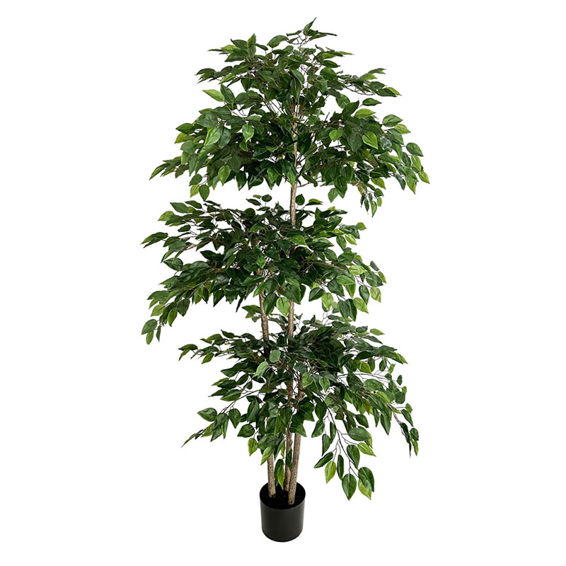 70in Ficus yapay ağaç büyük tr - Dracaena Marginata incelemesi ve fiyatı