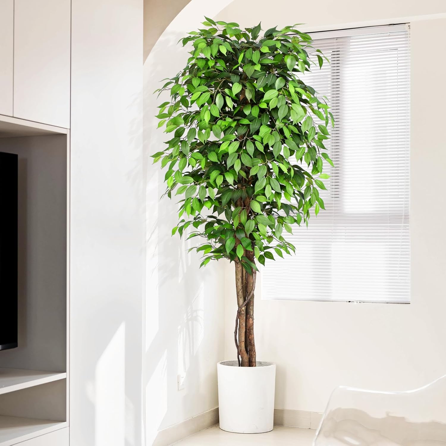 Gerçekçi Yapay Ficus Ağacı, Do - Monstera Adansonii incelemesi ve fiyatı