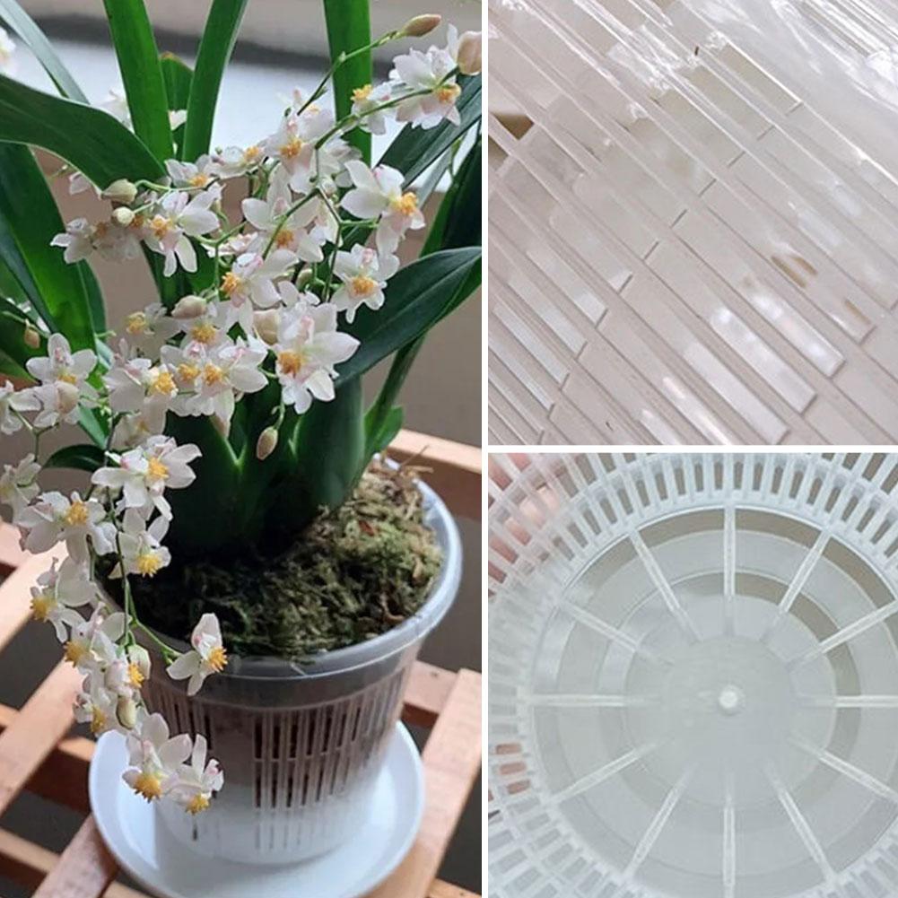 Örgü Saksı Kök Kontrolü Şeffaf - Aloe Vera Pot incelemesi ve fiyatı