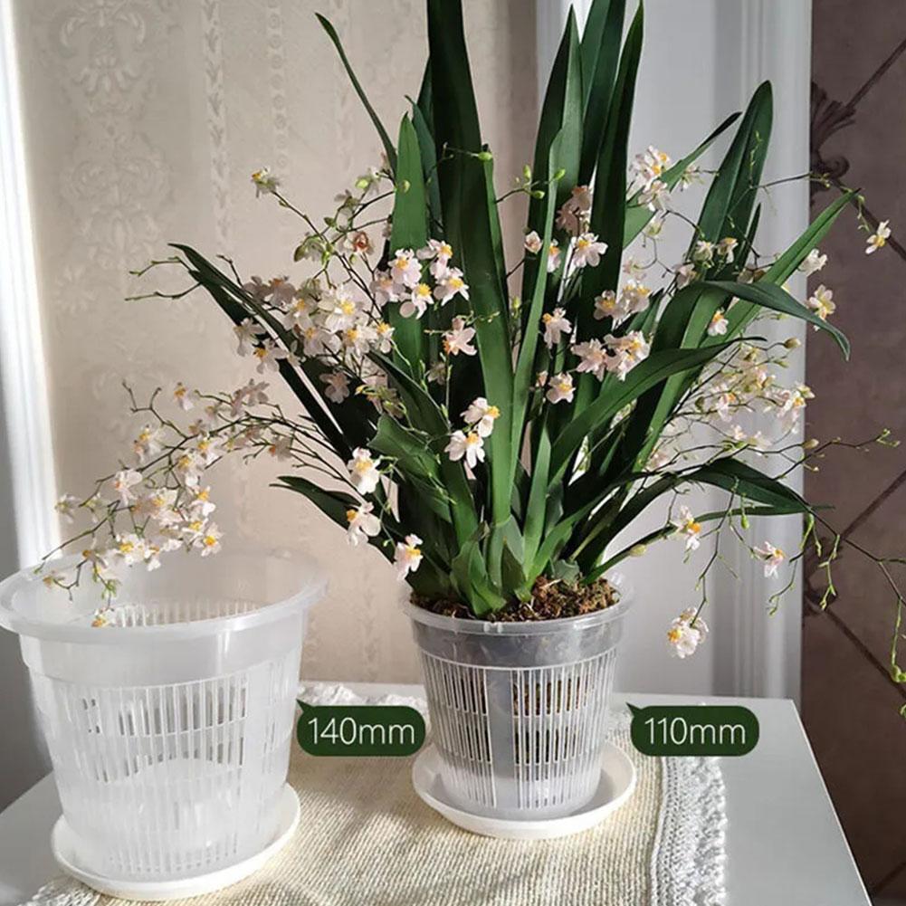 Örgü Saksı Kök Kontrolü Şeffaf - Aloe Vera Pot incelemesi ve fiyatı