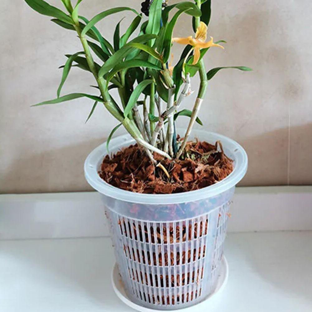 Örgü Saksı Kök Kontrolü Şeffaf - Aloe Vera Pot incelemesi ve fiyatı