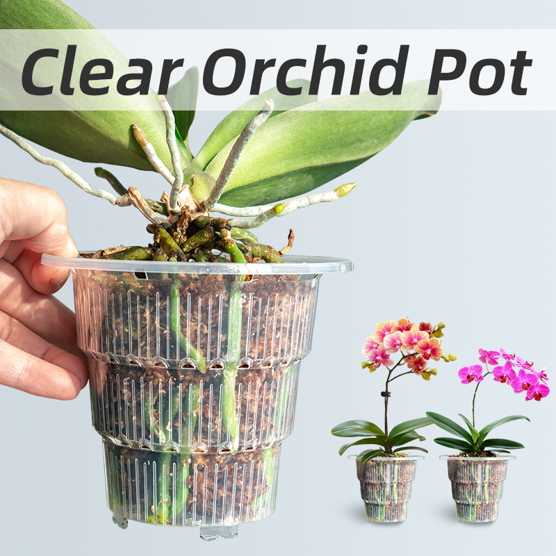 Meshpot Şeffaf Plastik Orkide  - Aloe Vera Pot incelemesi ve fiyatı