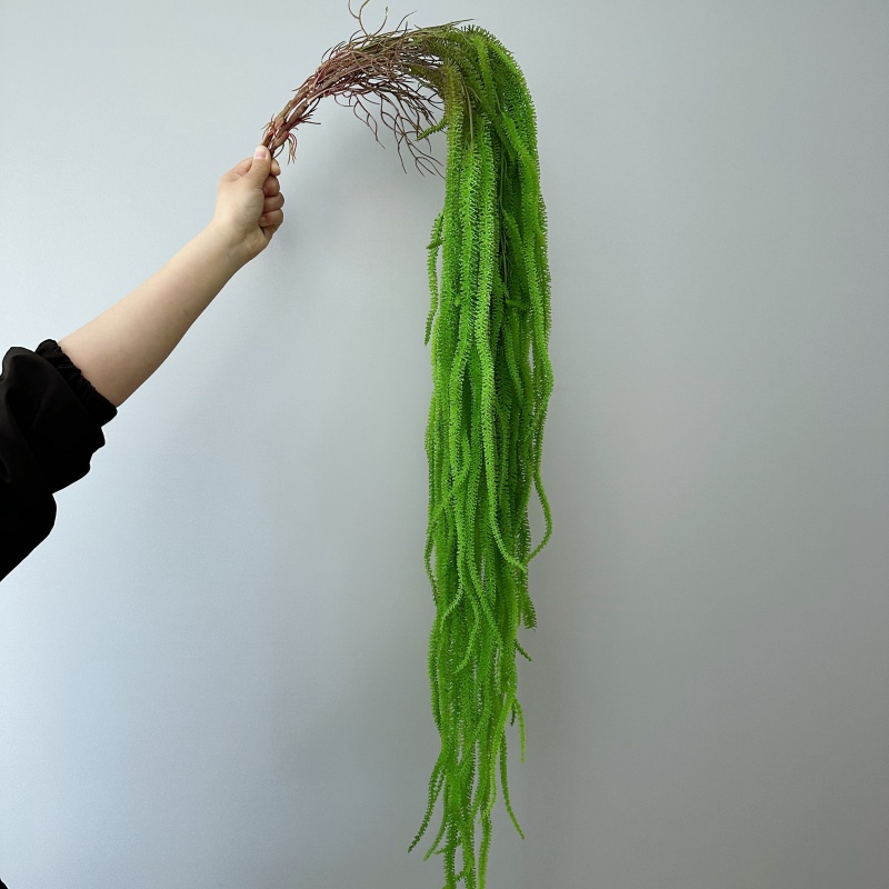 Yapay Söğüt Sakal Çok Yönlü 41 - Monstera Adansonii incelemesi ve fiyatı