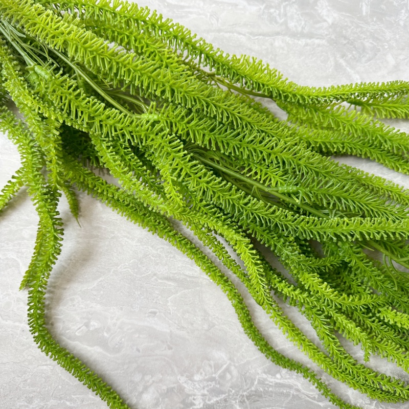 Yapay Söğüt Sakal Çok Yönlü 41 - Monstera Adansonii incelemesi ve fiyatı