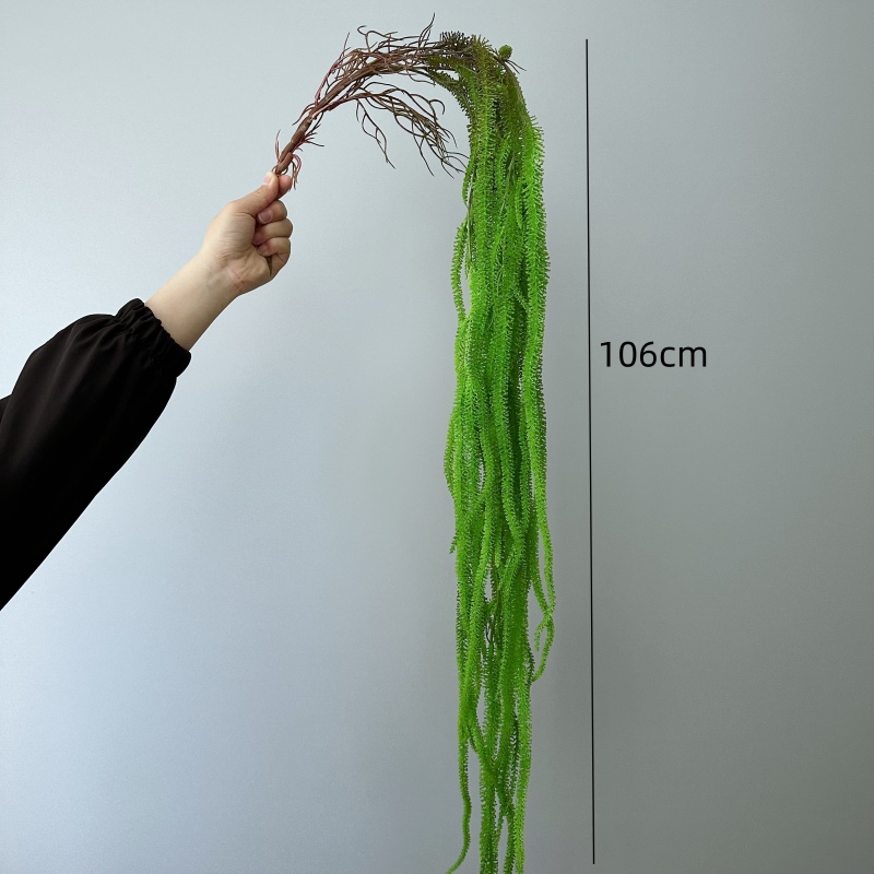Yapay Söğüt Sakal Çok Yönlü 41 - Monstera Adansonii incelemesi ve fiyatı