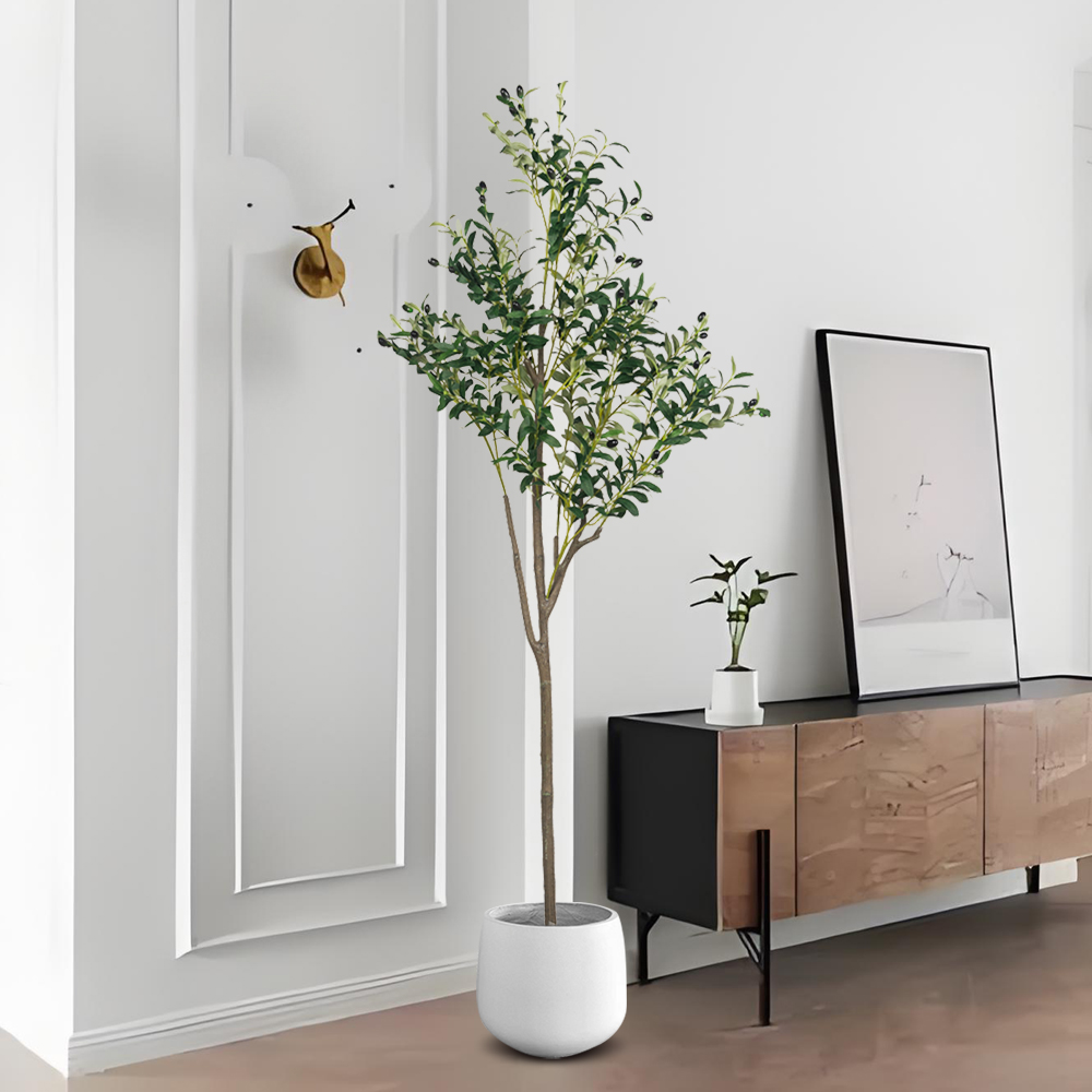 5/6ft Büyük Yapay Zeytin Bitki - Dracaena Marginata incelemesi ve fiyatı