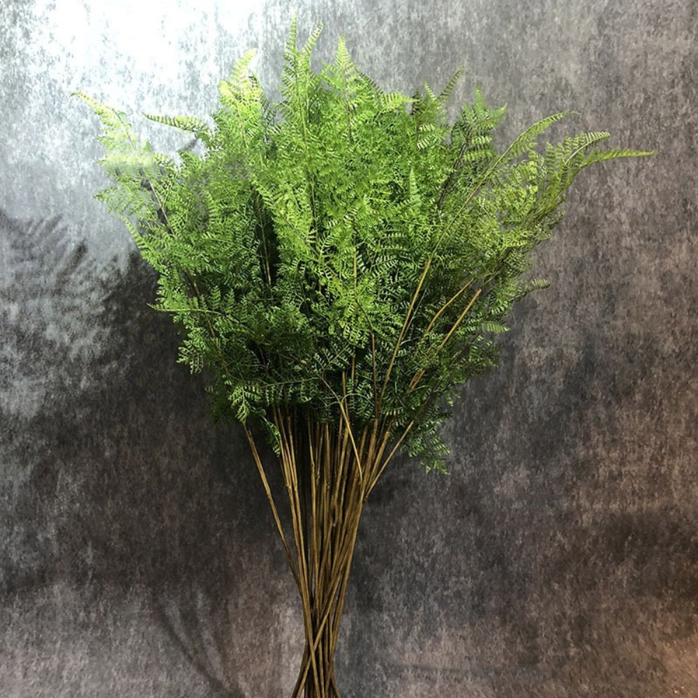 Gerçekçi Yapay Eğrelti Otu Dal - Dracaena Marginata incelemesi ve fiyatı