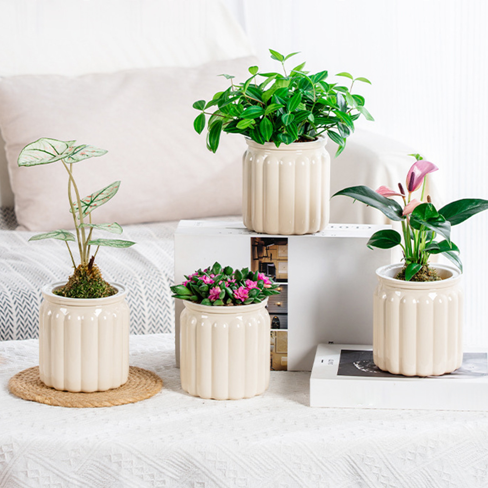 Tembel hidroponik saksı otomat - Aloe Vera Pot incelemesi ve fiyatı