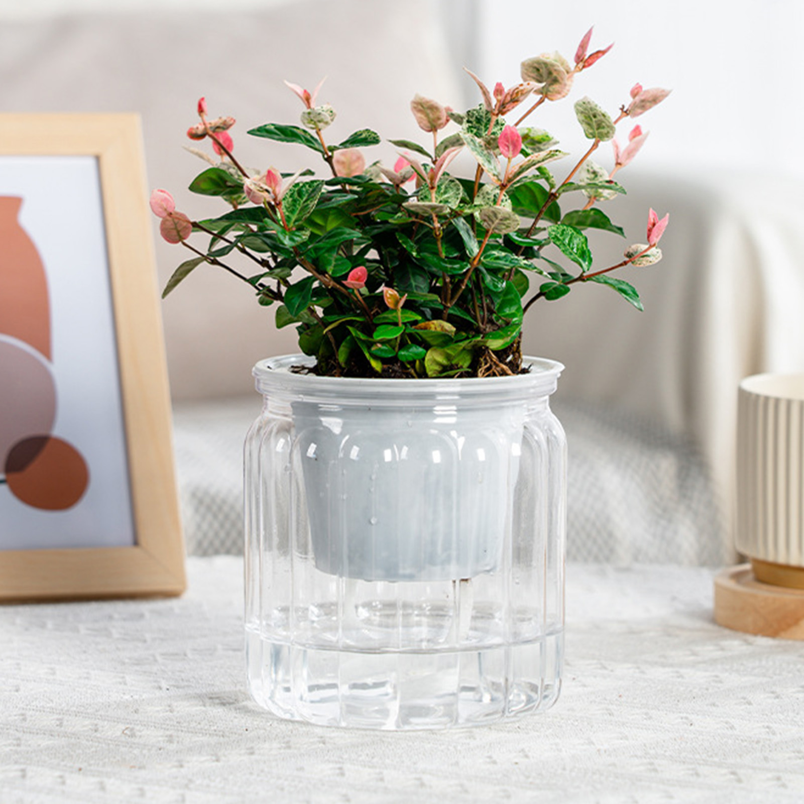 Tembel hidroponik saksı otomat - Aloe Vera Pot incelemesi ve fiyatı