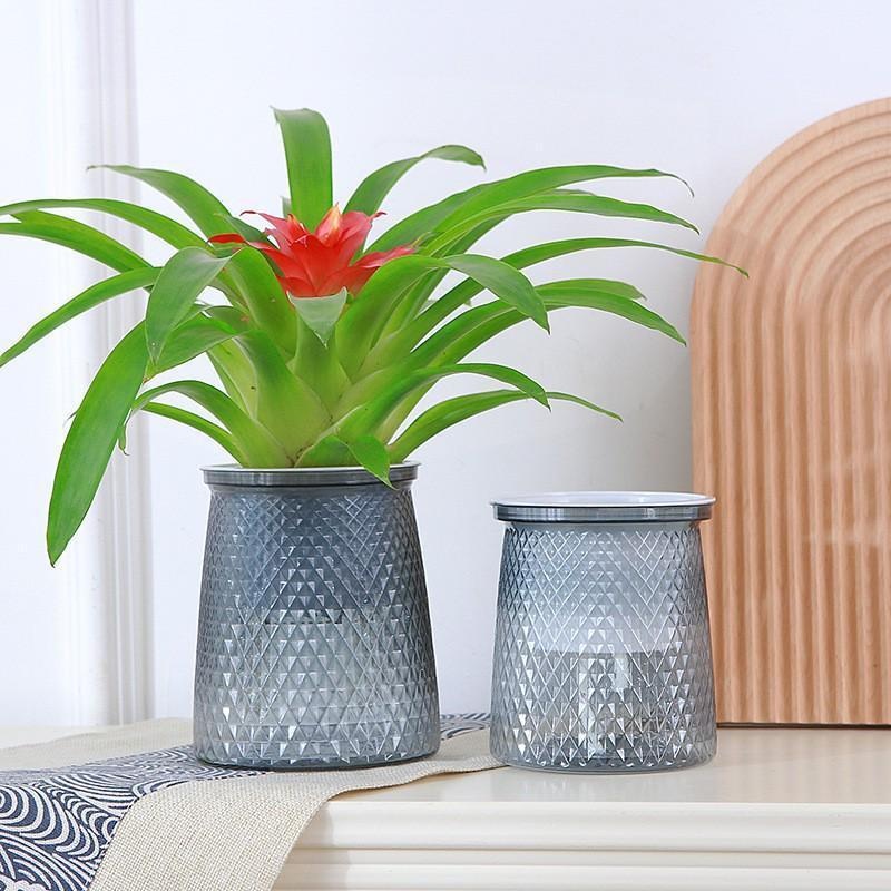 2024 Şeffaf Kendinden Sulama S - Aloe Vera Pot incelemesi ve fiyatı