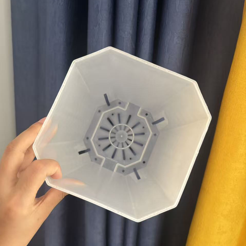 5 adet şeffaf saksı 15cm etli  - Echeveria Succulent incelemesi ve fiyatı