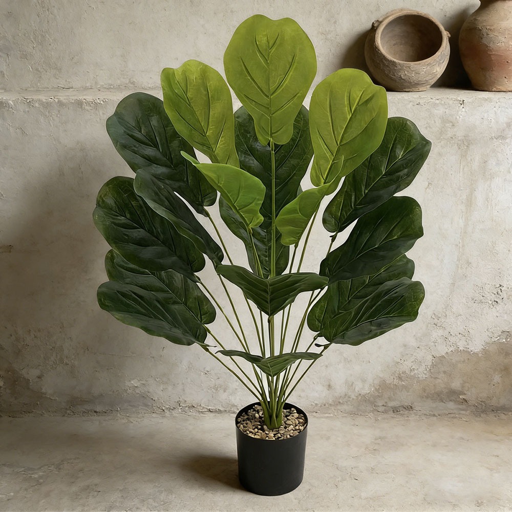 1 adet 75cm Yapay Ficus Lyrata - Ficus Lyrata Tree incelemesi ve fiyatı