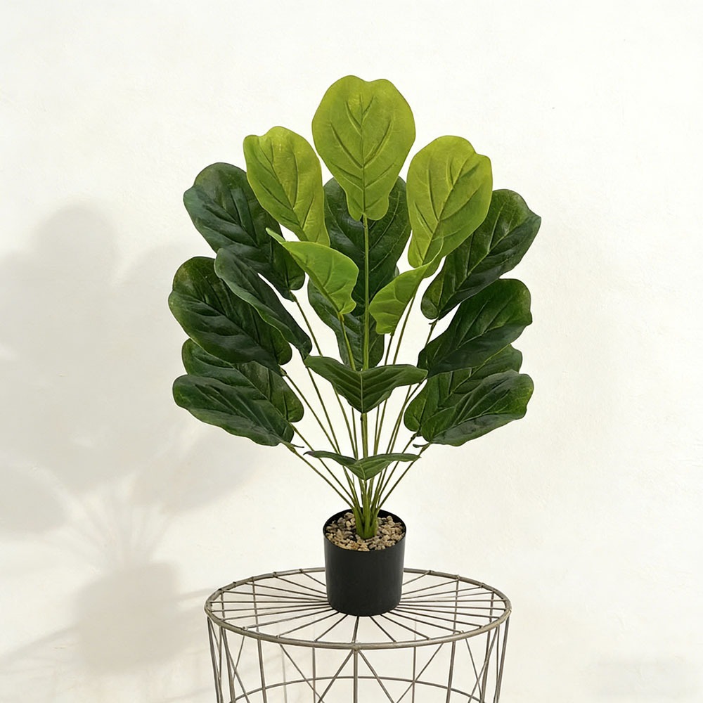 1 adet 75cm Yapay Ficus Lyrata - Ficus Lyrata Tree incelemesi ve fiyatı