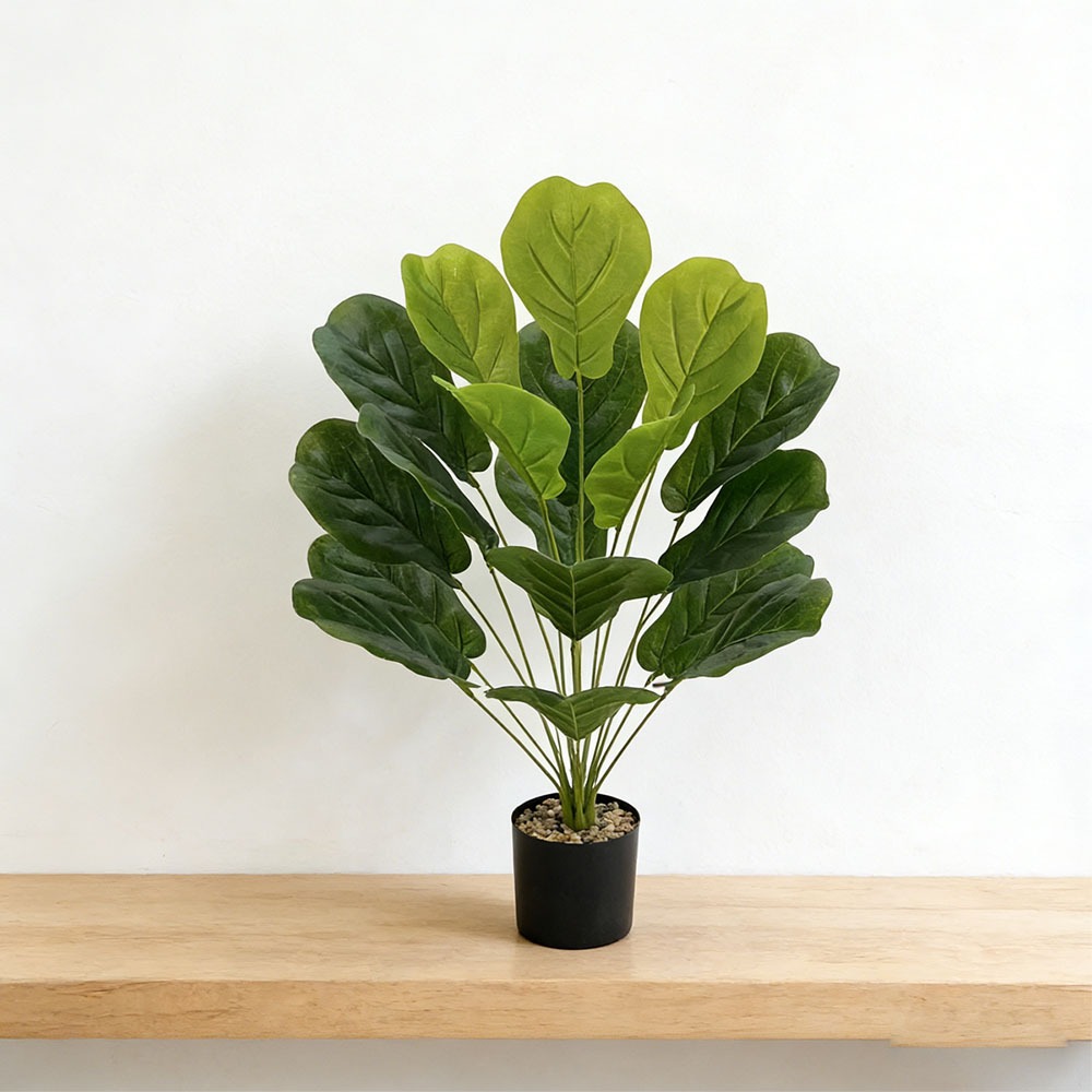 1 adet 75cm Yapay Ficus Lyrata - Ficus Lyrata Tree incelemesi ve fiyatı