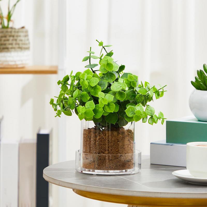 Drenajlı Şeffaf Bitki Saksılar - Aloe Vera Pot incelemesi ve fiyatı