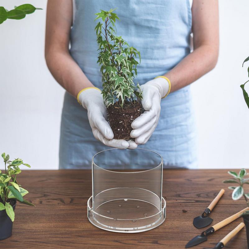Drenajlı Şeffaf Bitki Saksılar - Aloe Vera Pot incelemesi ve fiyatı