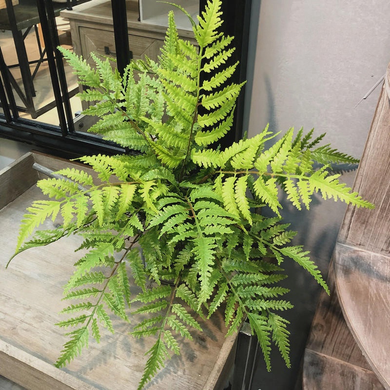 1 adet Yapay Bitkiler Yatak Od - Dracaena Marginata incelemesi ve fiyatı