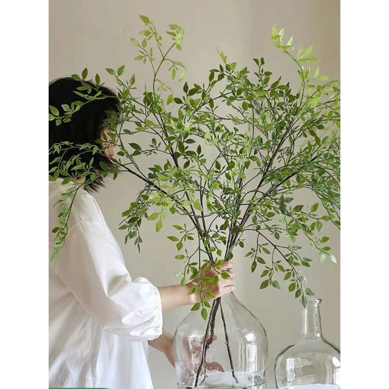 Yapay Tek Dal 3'lü Yapay Yeşil - Dracaena Marginata incelemesi ve fiyatı