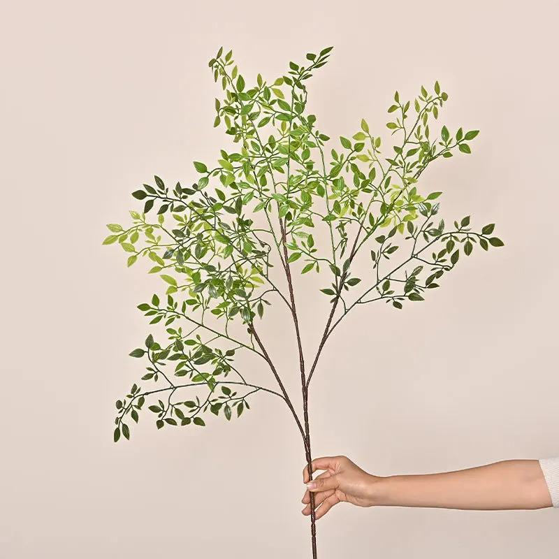 Yapay Tek Dal 3'lü Yapay Yeşil - Dracaena Marginata incelemesi ve fiyatı