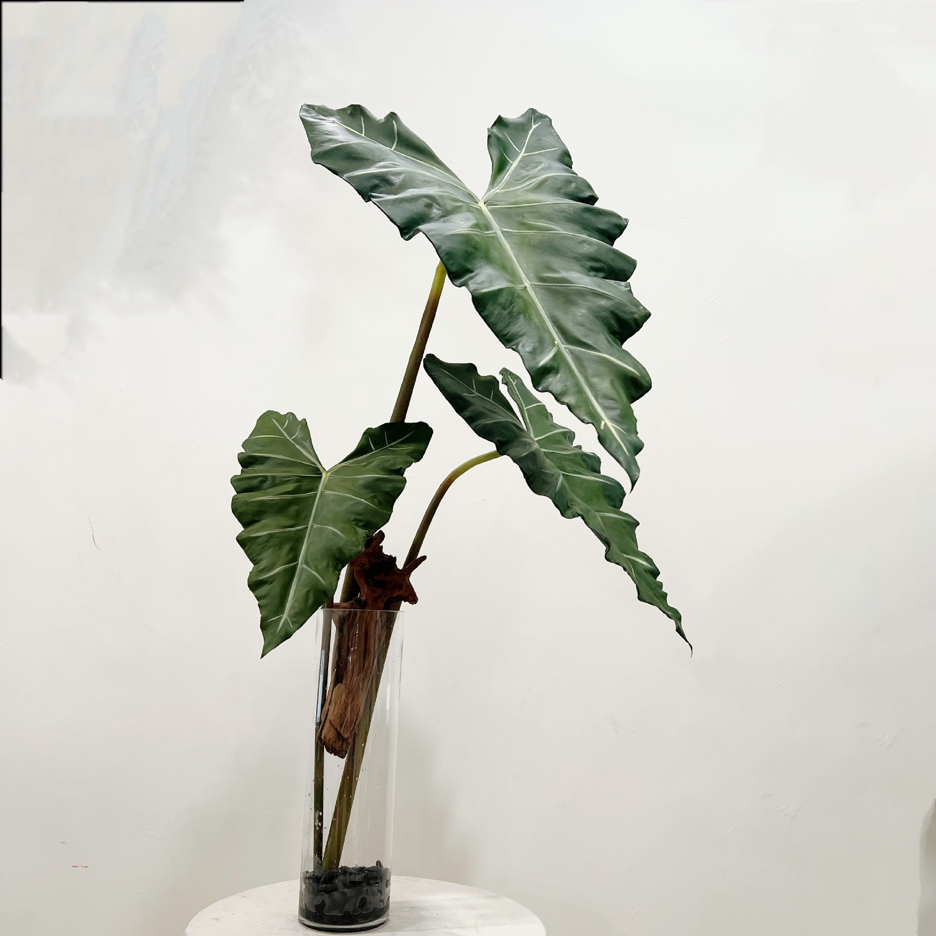 Simüle Uzun PU El-hisset Yeşil - Monstera Adansonii incelemesi ve fiyatı
